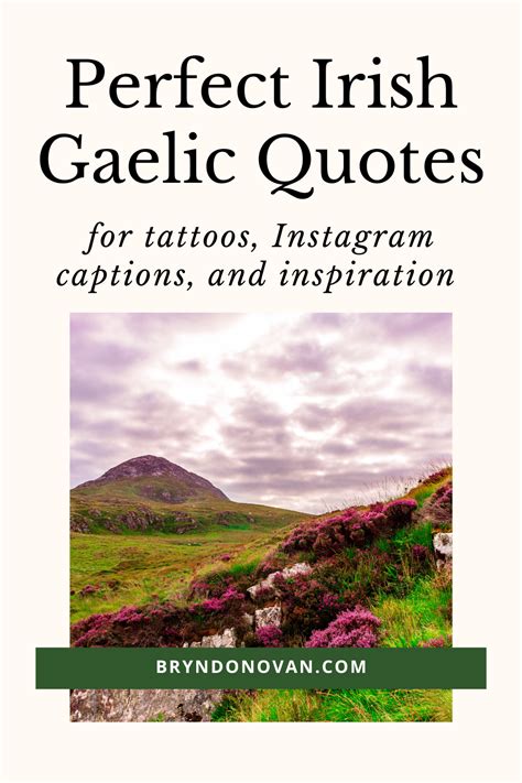 Perfect irish gaelic quotes and phrases for tattoos instagram or ...