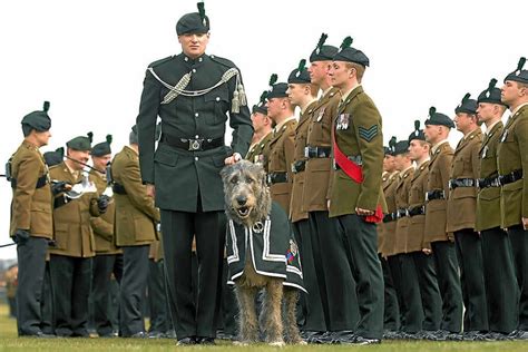 Royal Irish Regiment on parade for St Patrick's Day | Shropshire Star