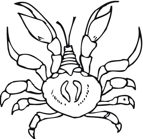 Free Printable Crab Coloring Pages For Kids