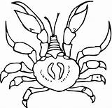 Free Printable Crab Coloring Pages For Kids sketch template