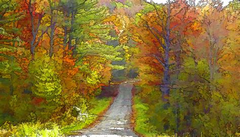 Autumn Country Road Free Stock Photo - Public Domain Pictures