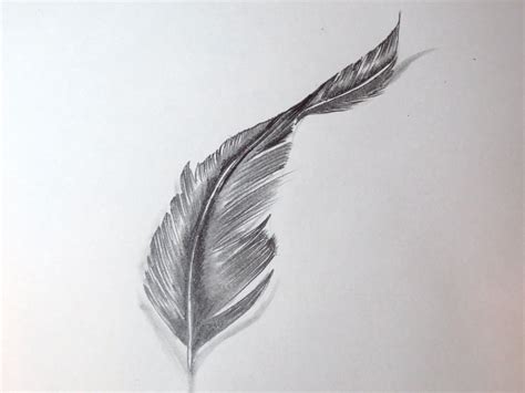 Feather Drawing, Pencil, Sketch, Colorful, Realistic Art Images | Drawing Skill