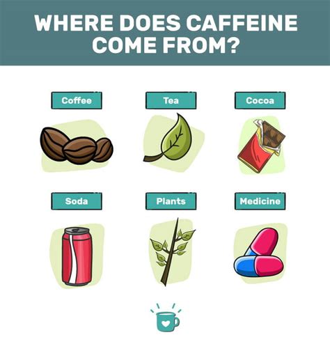 Where Does Caffeine Come From?