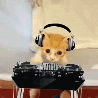 Dj GIF - Find & Share on GIPHY