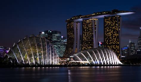 Night view of Gardens by the bay, Singapore | Mac Qin | Flickr