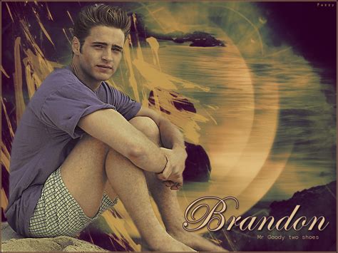 Brandon - Brandon Walsh Wallpaper (4284757) - Fanpop