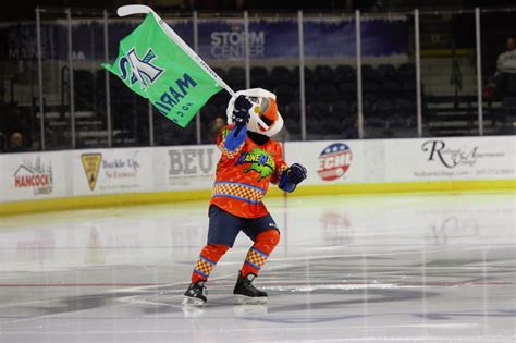 Maine Mariners mascot Beacon the Puffin - December 17, 2018 Photo on OurSports Central