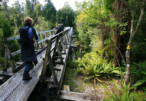 Hump Ridge Track Photos | Hiking New Zealand