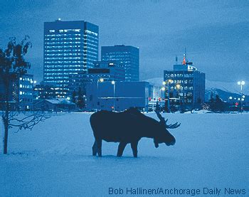 Living with Wildlife in Anchorage, Alaska Department of Fish and Game