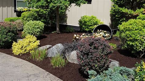 Popular Softscape Landscaping Ideas For Vancouver Homeowners