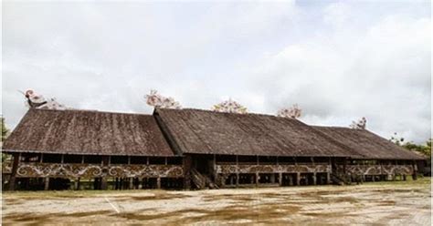 Rumah Adat Lamin Provinsi Dan Keunikannya : 5 Keunikan Rumah Adat ...