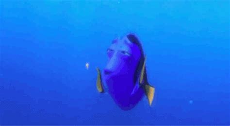 Finding dory GIF - Find on GIFER