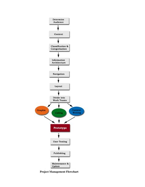 Management Flow Chart Template | Images and Photos finder