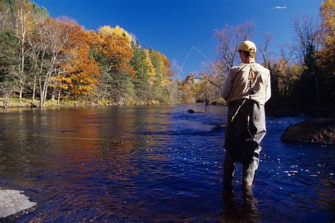 Peshtigo River fly fishing | Fall colors, Fly fishing flies trout, Fly ...