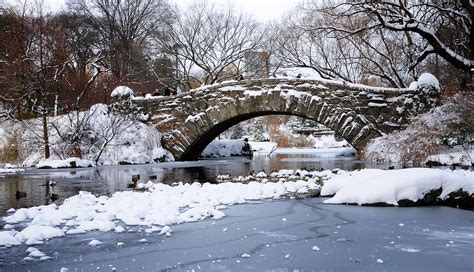 Gapstow Bridge-Winter Photograph by Soon Ming Tsang - Pixels