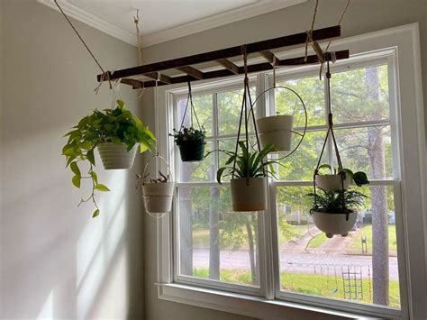 Plant Ladder Ceiling Hanger- 26 DIY Plant Stands You'll Love- The ...