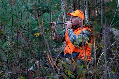 Maine bans Sunday hunting. That might soon change