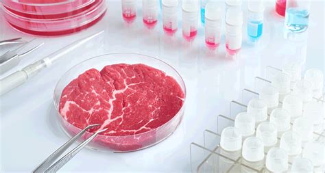 A new spin on lab-grown meat | Science News for Students