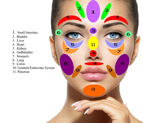 Face Reflexology Chart Pressure Points