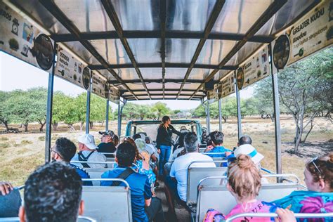 Safari Bus – Casela Nature Parks