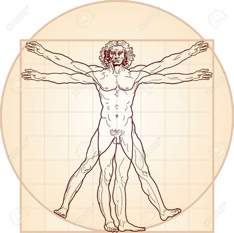 5700873-The-Vitruvian-man-Detailed-drawing-on-the-basis-of-artwork-by-Leonardo-da-Vinci-executed ...