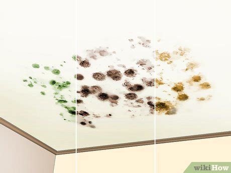 How to Remove Ceiling Mold: DIY Methods