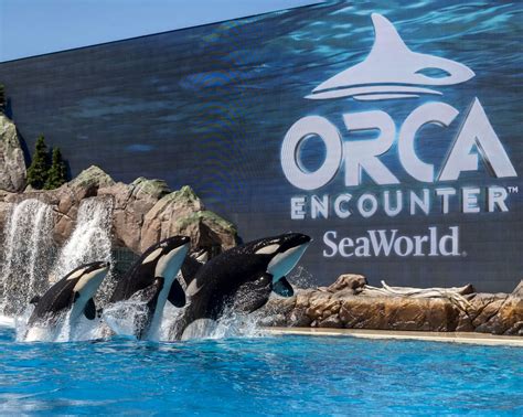 SeaWorld Orlando to end current killer-whale show next week