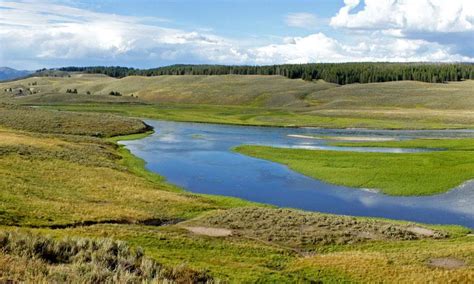 Hayden Valley, Yellowstone National Park - AllTrips