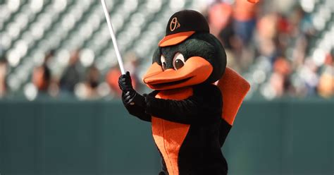 Orioles spring training schedule: TV and radio broadcast info - Camden Chat