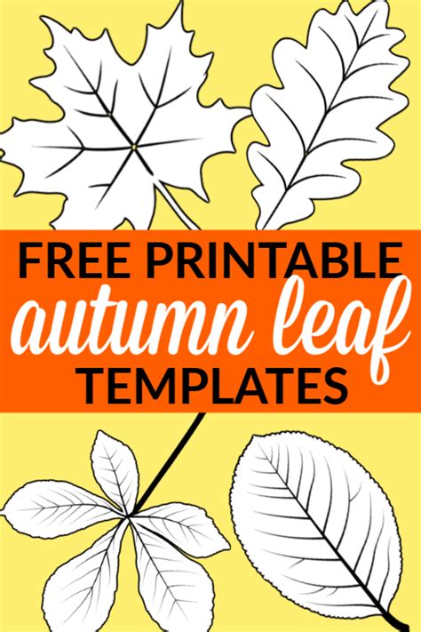 Free Printable Large Leaf Templates, Stencils and Patterns - Simple Mom ...