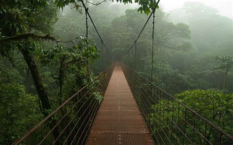 My wonderful journey to Monteverde Cloud Forest. A rainforest you have to visit at least once in ...