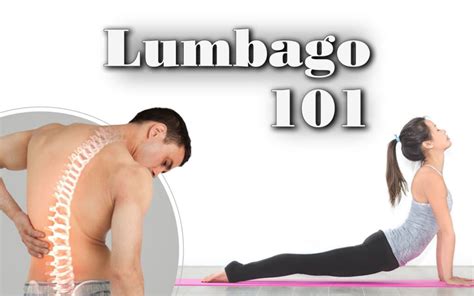 Lumbago Symptoms, Treatment and Exercises - Your Body Posture