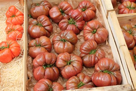 Red Tomatoes on Brown Wooden Crate · Free Stock Photo