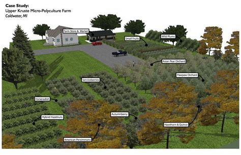 Micro Perennial Farm | Edible Landscapes, Permaculture, Grow Your Own ...