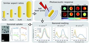 Optimising gold nanorods for photoacoustic imaging in vitro - Nanoscale Advances (RSC Publishing)