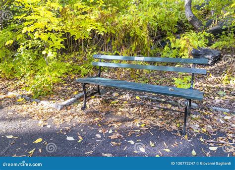 Green Bench in Central Park Stock Image - Image of walkway, bench: 130772247