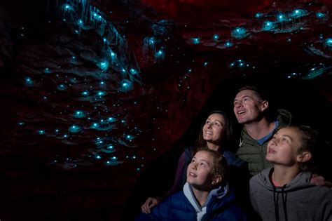 Te Anau Glowworm Caves | Queenstown isite