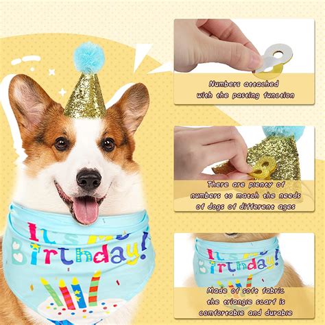 Buy LOVESTOWN Dog Faces Party Banner Set，60PCS Dog Birthday Bandana Hat Set Dog Theme Party ...