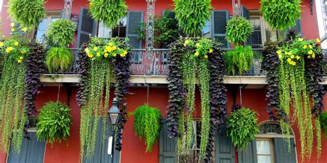 New Orleans Attractions Guide