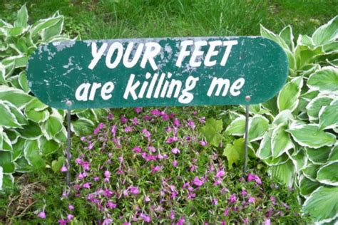 30 Witty, Hilarious, and Funniest Yard Signs | eSigns