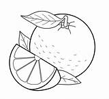 Printable Orange Coloring Pages sketch template