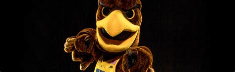 Marquette University - Golden Eagle Mascot - Olympus Mascots