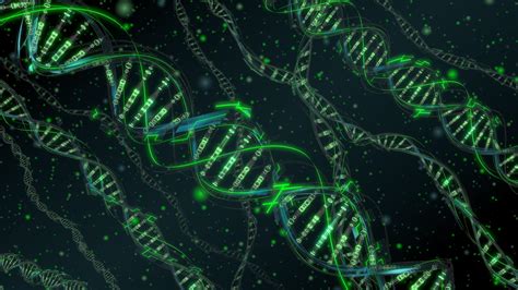 Alta resolução de verdade: fotografando o DNA – Gotodata