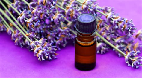 Lavender Essential Oil: Is It Good for Your Hair? - HK Vitals