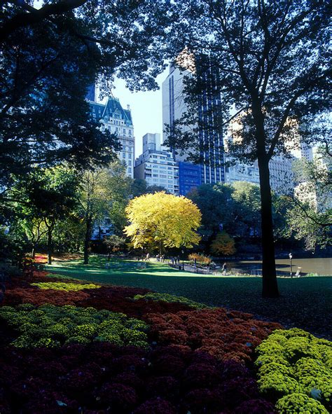 Fall foliage, The pond, Central park, … – License image – 70149688 lookphotos