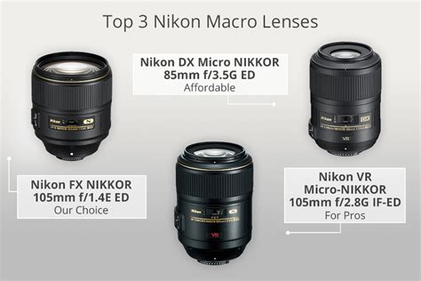 9 Best Macro Lenses for Nikon to Buy in 2024