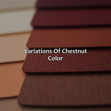 What Color Is Chestnut - colorscombo.com