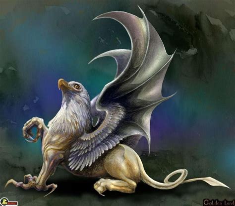 Magical Creatures, Fantasy Creatures, Greek Creatures, Griffon Tattoo, Fantasy World, Fantasy ...