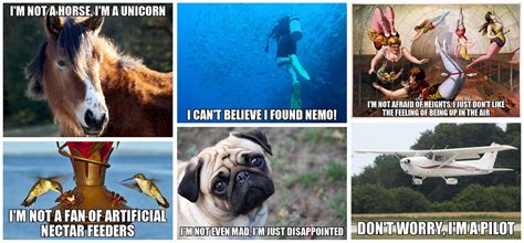 AI-Memer: Using Machine Learning to Create Funny Memes | Towards Data Science