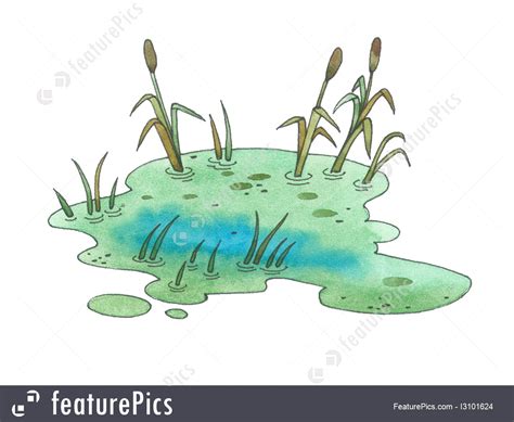 Swamp Drawing at GetDrawings | Free download